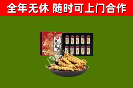 北屯回收冬虫夏草价格